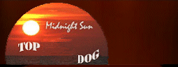 Midnight Sun